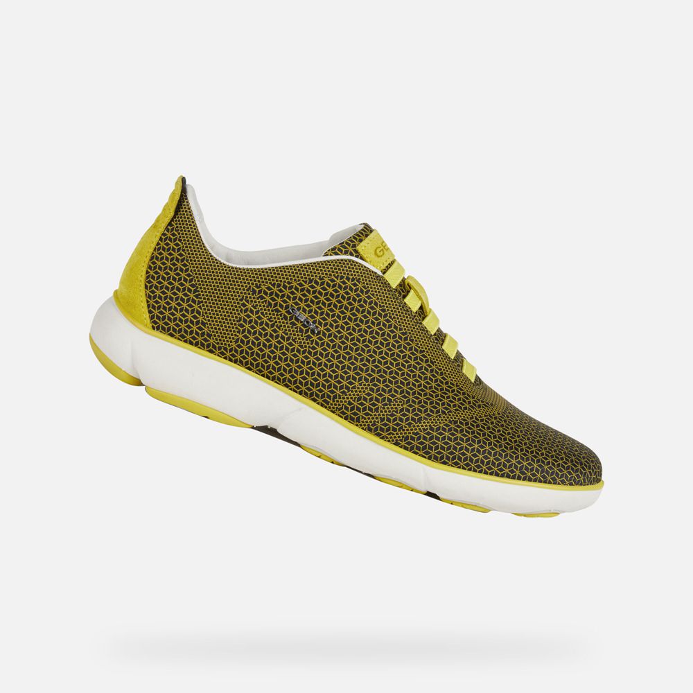 Geox Bayan Spor Ayakkabı Zeytin Yeşili - Nebula - QNL-578103